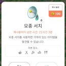 민블룸 네이버블로그