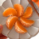 한길3농장 이미지