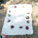 동부유치원 이미지