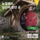 글로벌투어여행사 이미지