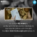 바람미디어
