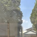 유달병설유치원 | 목포 원도심 한 바퀴