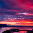 우리기전 | 포사인(돼지) 콘드로이친 작용기전 및 제품 고르는 방법, <소비자리포트>