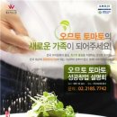 오므토토마토 이미지