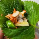 (기흥맛집)도다리 세꼬시가 맛있는 "태풍수산" 방문 석식 후기