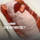 강릉 시내 딸기디저트 맛집 베리베리딸기