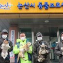 논산시 동물보호센터 이미지