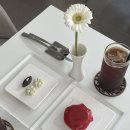 24.06.23.~28 일상
