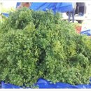 산해농장 이미지