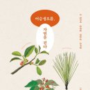 오름미디어 - 339 | 오름미디어