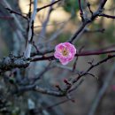 석림4로 이미지