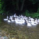 인산농장 이미지