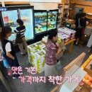 라이프룻헬리오시티