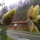 공작산로 이미지