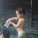 통영 독채 풀빌라 애견동반 펜션 통영빈스테이 후기