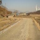 금성우체국 이미지