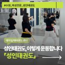 신대호 태권도 전문도장 | [수원성인태권도] 여성전문 성인태권도, 기초부터 차근차근 배우는 태권도 수업