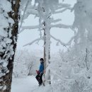 ~송년산행 대부도 트레킹과 한 해 산행을 뒤돌아 보며~ 이미지