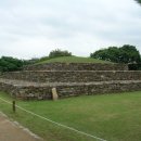 충남대학교박물관 이미지