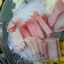 단카이참치 이미지