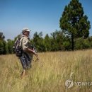 호랑이농장 이미지