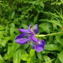 간전면사무소 이미지