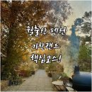 기찬낙지 | 전남 영암 가볼만한곳 월출산 펜션 글램핑 숙박 후기와 기찬랜드 산책 코스