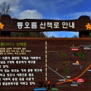 의사오흥태지려 네이버블로그