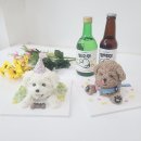 하나애견 이미지