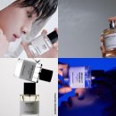 무신사 스탠다드 뷰티 향수 5종 향별 비교 및 추천 애프터 샤워 모시 헤이즈 코코모
