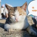 성남동물병원 이미지