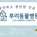 루리동물병원 네이버블로그