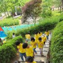 용호유치원 이미지