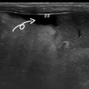 24시잠실ON동물의료센터 이미지