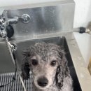 그루밍솔루션 구로점 이미지