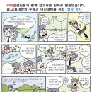컴피디 네이버블로그
