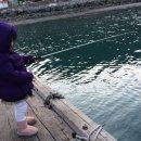 추도명진민박 이미지