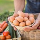 우리들농장(소) 이미지