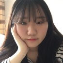 지연사 이미지