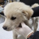 최종주동물병원 이미지