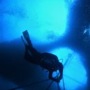 하늘곰네 모알보알~(SM다이빙 해외투어 모알보알 클럽하리) 이미지