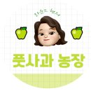 살롱드루시 이미지