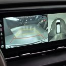 새대구카모터스 | 대구 엔카 카니발 4세대 SK모터스 입고