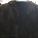 박종술명품세탁 이미지