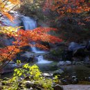 아름다운 꿈 이미지