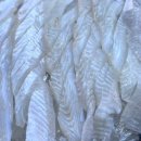 나주막회 이미지