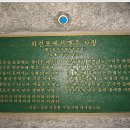 꽃사랑꽃구름 이미지