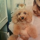 개편한 미용# 이미지