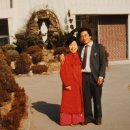 언니비어 이미지