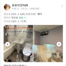 냄새만 없었으면 됐는데… 바람까지 달라졌다